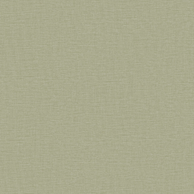 Galerie LB25123 Green Nuance Plain Texture - Eade's Wallpaper
