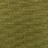 GASTON Y DANIELA LCT1075.024.0 DOBRA ACEITUNA Fabric - Eade's Wallpaper