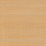 GASTON Y DANIELA LCW5469.009.0 AYLLON PAJA Wallpaper - Eade's Wallpaper