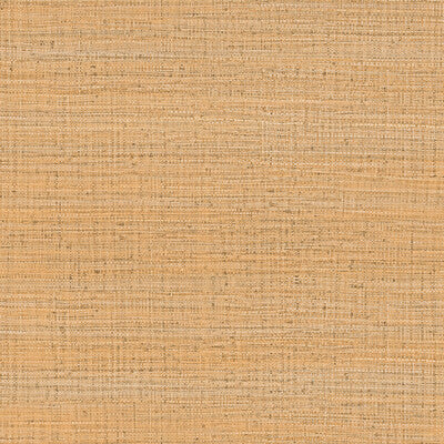GASTON Y DANIELA LCW5469.009.0 AYLLON PAJA Wallpaper - Eade's Wallpaper