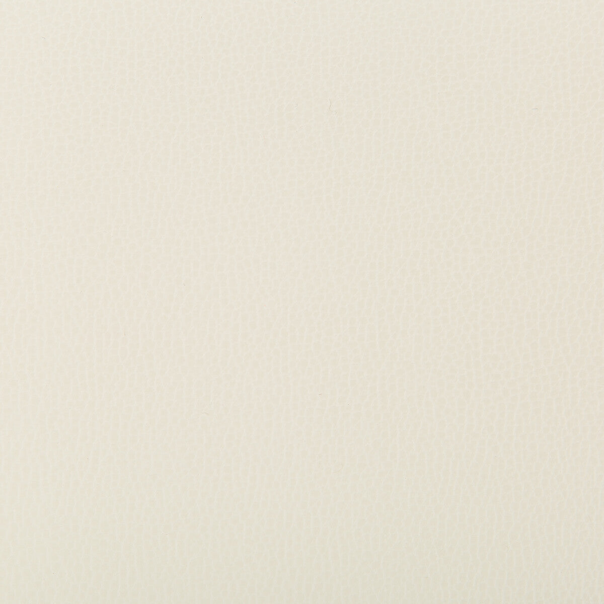 KRAVET CONTRACT LENOX.1.0 LENOX BLIZZARD Fabric - Eade's Wallpaper