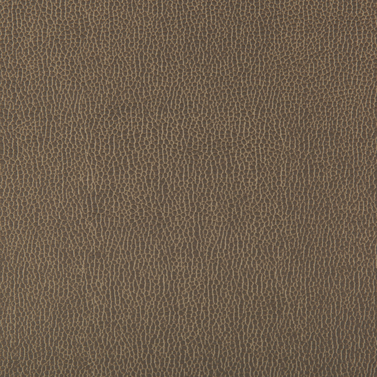 KRAVET CONTRACT LENOX.106.0 LENOX ELEPHANT Fabric - Eade's Wallpaper