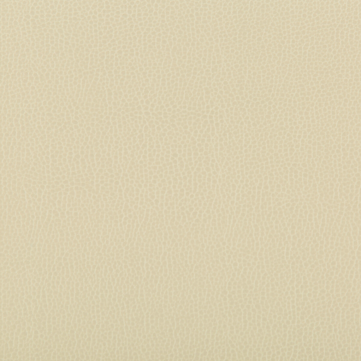 KRAVET CONTRACT LENOX.116.0 LENOX PAPYRUS Fabric - Eade's Wallpaper
