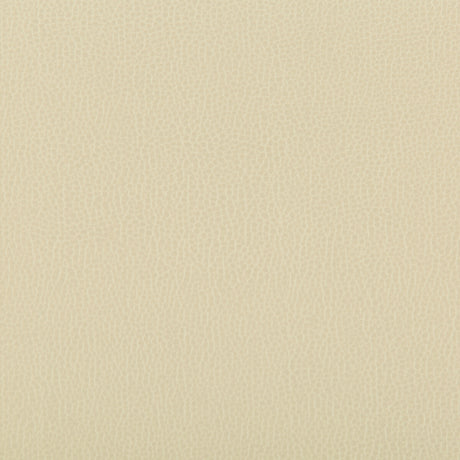 KRAVET CONTRACT LENOX.116.0 LENOX PAPYRUS Fabric - Eade's Wallpaper