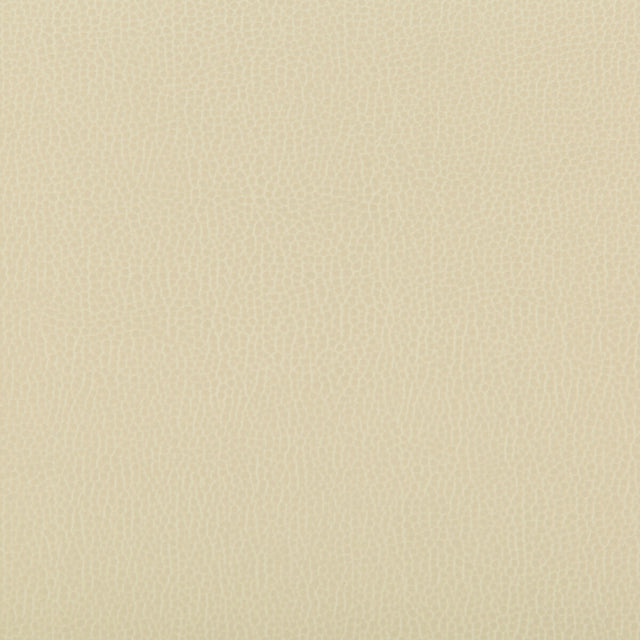 KRAVET CONTRACT LENOX.116.0 LENOX PAPYRUS Fabric - Eade's Wallpaper