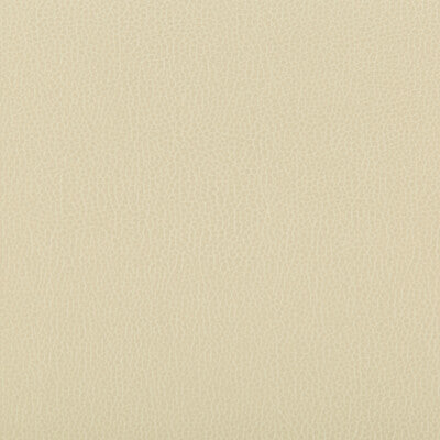 KRAVET CONTRACT LENOX.116.0 LENOX PAPYRUS Fabric - Eade's Wallpaper