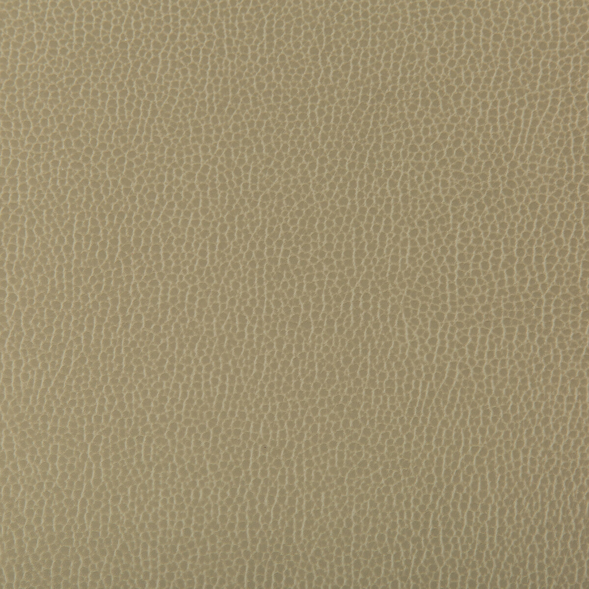 KRAVET CONTRACT LENOX.130.0 LENOX ELM Fabric - Eade's Wallpaper