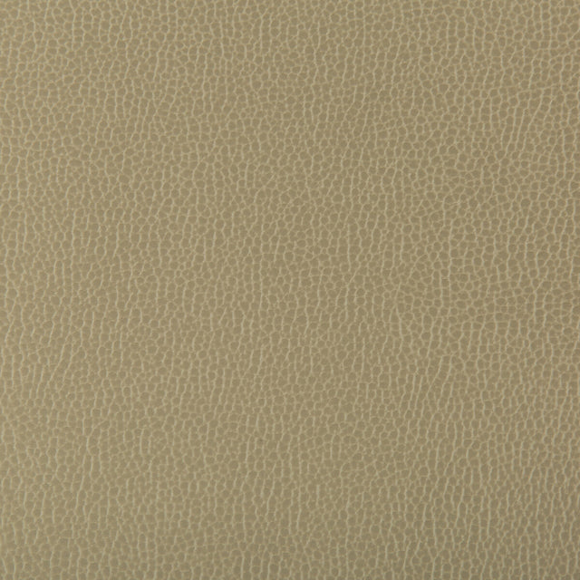KRAVET CONTRACT LENOX.130.0 LENOX ELM Fabric - Eade's Wallpaper