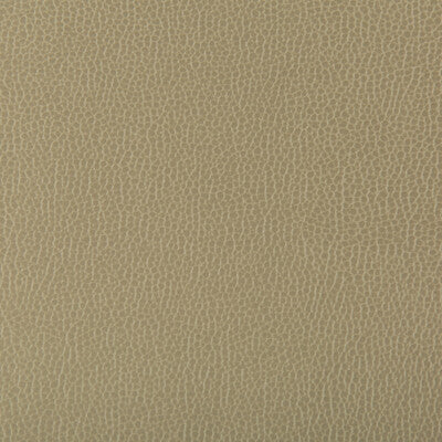 KRAVET CONTRACT LENOX.130.0 LENOX ELM Fabric - Eade's Wallpaper