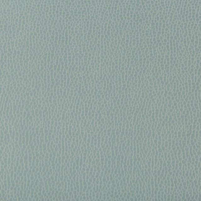 KRAVET CONTRACT LENOX.135.0 LENOX MYSTIC Fabric - Eade's Wallpaper