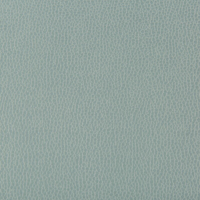 KRAVET CONTRACT LENOX.135.0 LENOX MYSTIC Fabric - Eade's Wallpaper