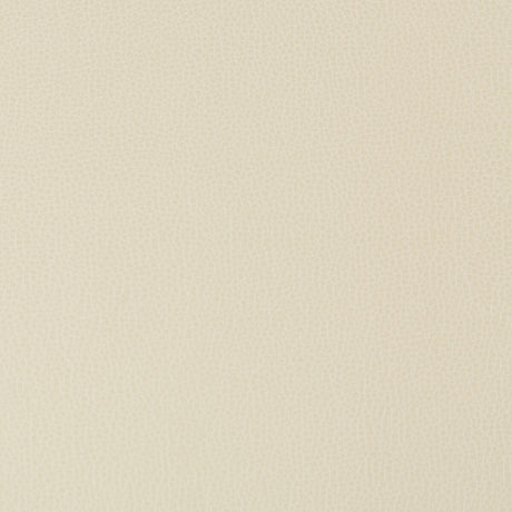 KRAVET CONTRACT LENOX.16.0 LENOX STONE Fabric - Eade's Wallpaper