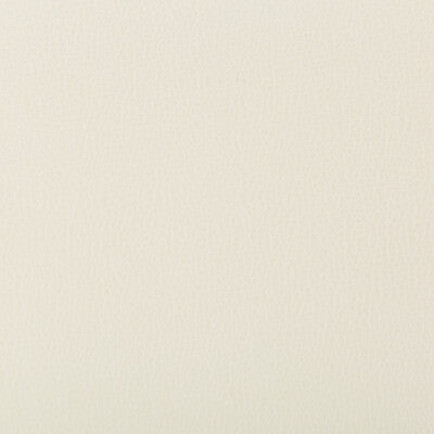 KRAVET CONTRACT LENOX.1.0 LENOX BLIZZARD Fabric - Eade's Wallpaper