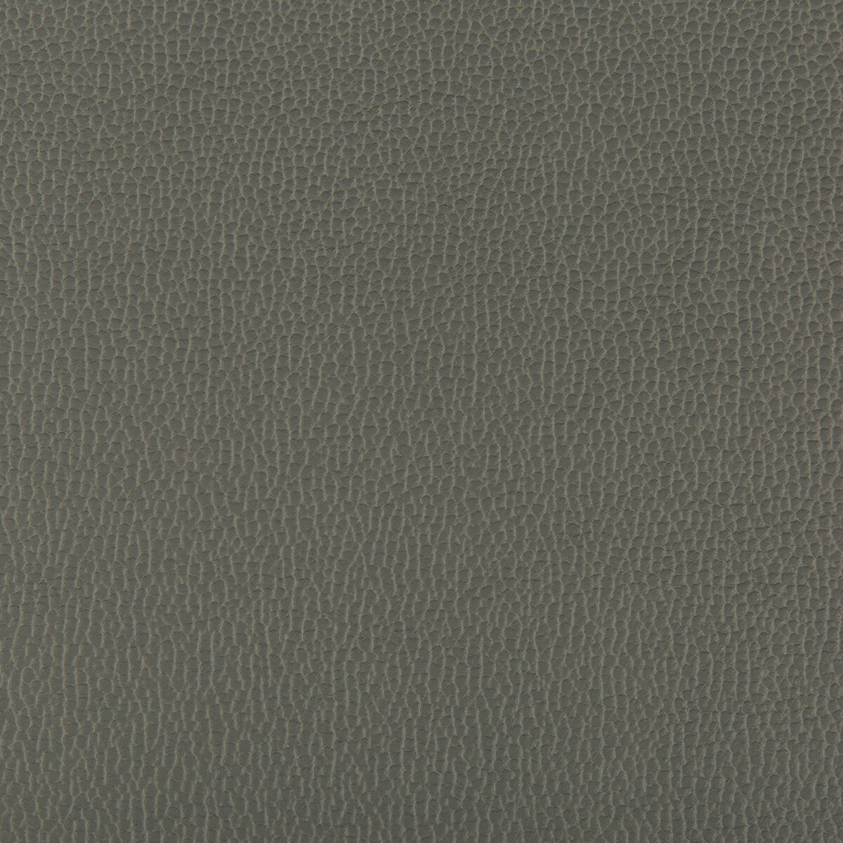 KRAVET CONTRACT LENOX.21.0 LENOX SHADOW Fabric - Eade's Wallpaper