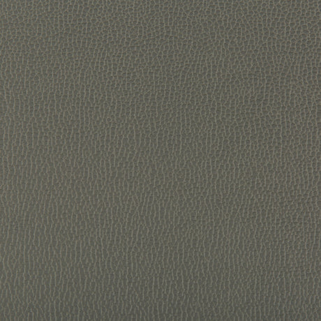 KRAVET CONTRACT LENOX.21.0 LENOX SHADOW Fabric - Eade's Wallpaper