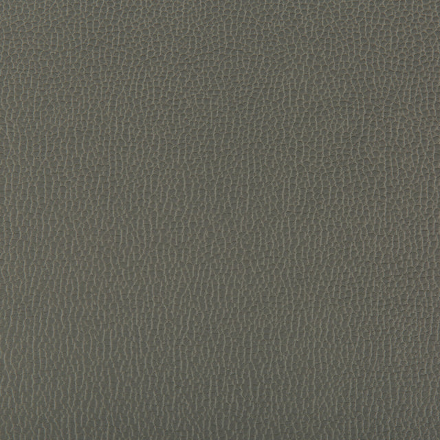 KRAVET CONTRACT LENOX.21.0 LENOX SHADOW Fabric - Eade's Wallpaper