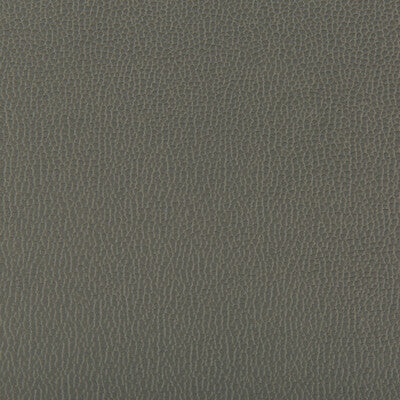 KRAVET CONTRACT LENOX.21.0 LENOX SHADOW Fabric - Eade's Wallpaper