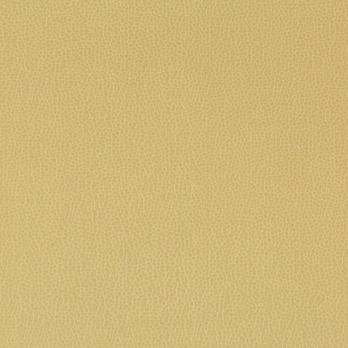 KRAVET CONTRACT LENOX.23.0 LENOX SESAME Fabric - Eade's Wallpaper