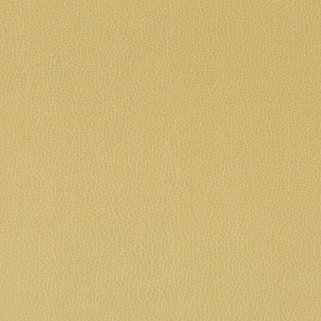 KRAVET CONTRACT LENOX.23.0 LENOX SESAME Fabric - Eade's Wallpaper