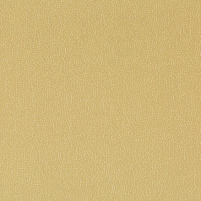 KRAVET CONTRACT LENOX.23.0 LENOX SESAME Fabric - Eade's Wallpaper