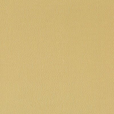 KRAVET CONTRACT LENOX.23.0 LENOX SESAME Fabric - Eade's Wallpaper