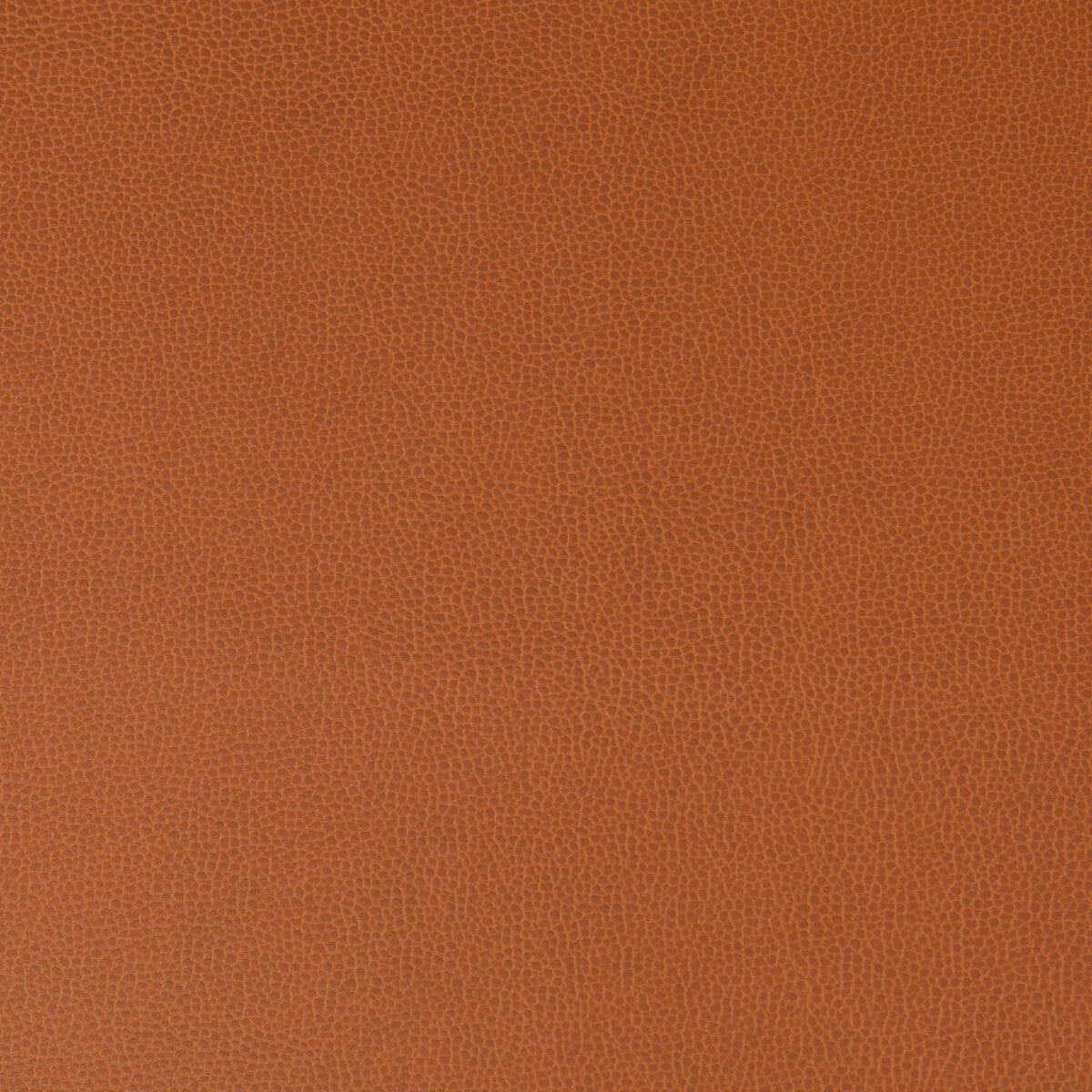 KRAVET CONTRACT LENOX.24.0 LENOX CANYON Fabric - Eade's Wallpaper