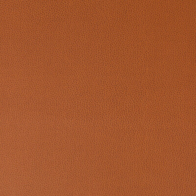 KRAVET CONTRACT LENOX.24.0 LENOX CANYON Fabric - Eade's Wallpaper