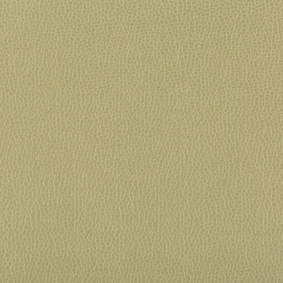KRAVET CONTRACT LENOX.30.0 LENOX SAGE Fabric - Eade's Wallpaper