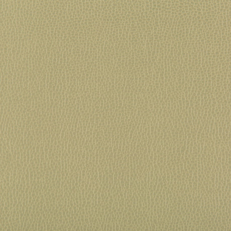 KRAVET CONTRACT LENOX.30.0 LENOX SAGE Fabric - Eade's Wallpaper