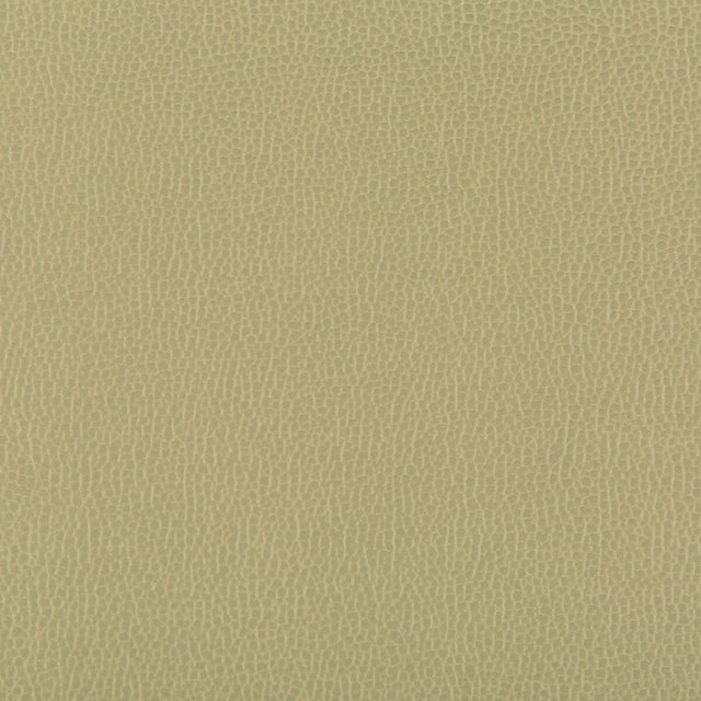 KRAVET CONTRACT LENOX.30.0 LENOX SAGE Fabric - Eade's Wallpaper