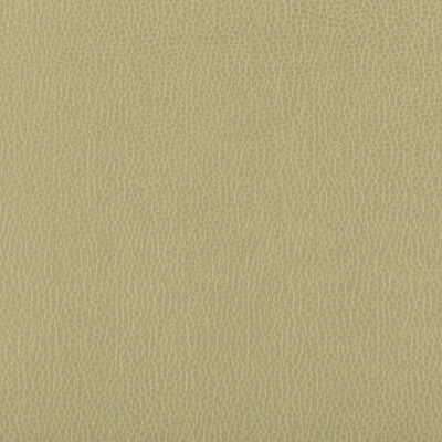 KRAVET CONTRACT LENOX.30.0 LENOX SAGE Fabric - Eade's Wallpaper