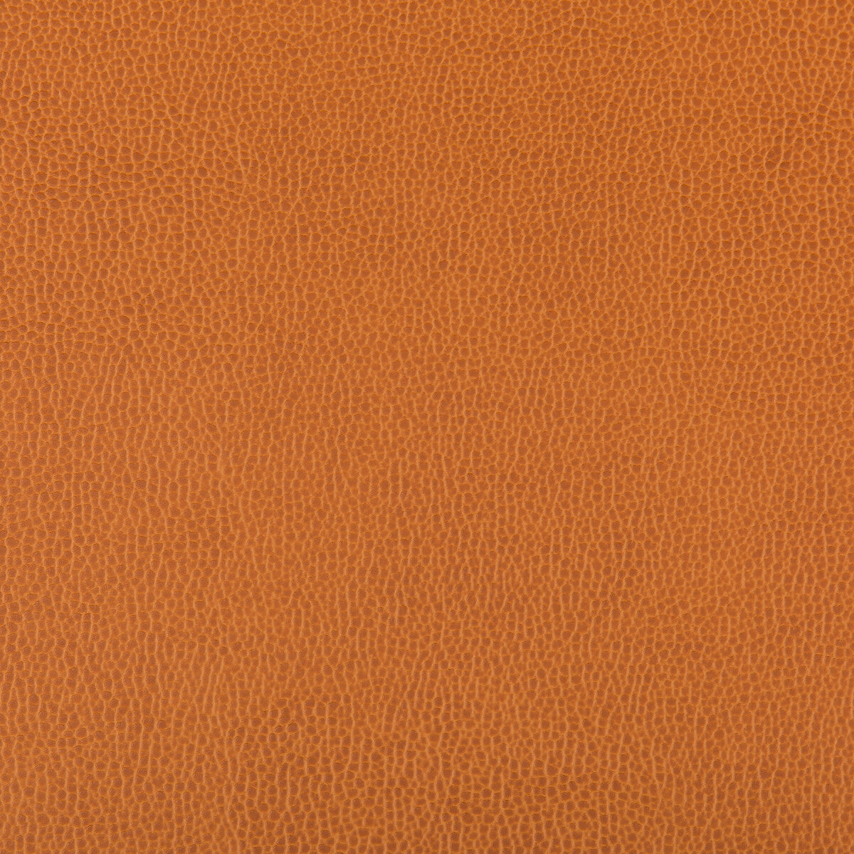 KRAVET CONTRACT LENOX.424.0 LENOX MARMALADE Fabric - Eade's Wallpaper