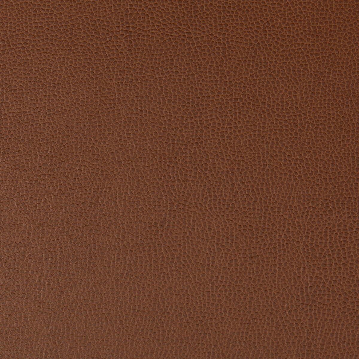 KRAVET CONTRACT LENOX.6.0 LENOX ROOTBEER Fabric - Eade's Wallpaper