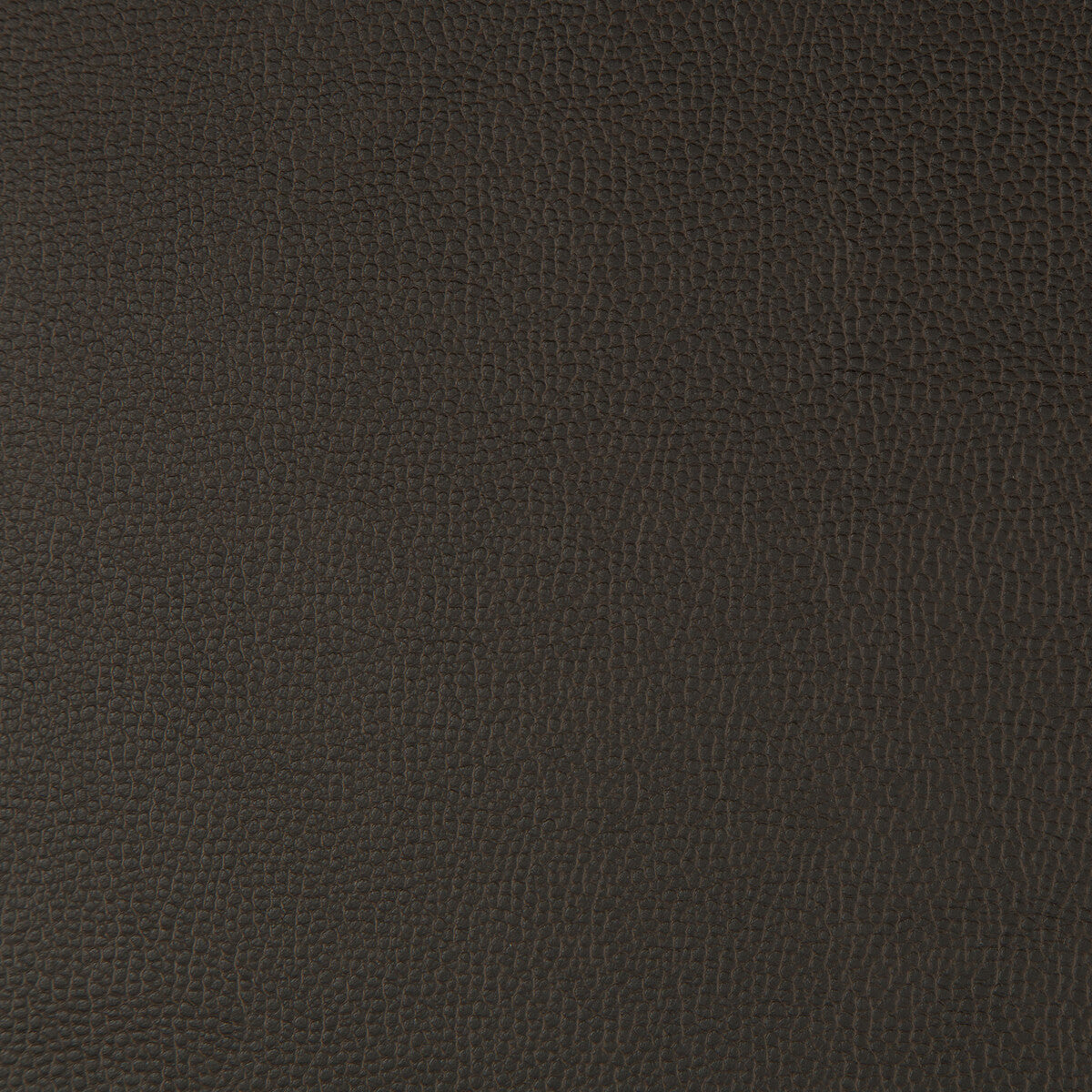 KRAVET CONTRACT LENOX.66.0 LENOX JAVA Fabric - Eade's Wallpaper