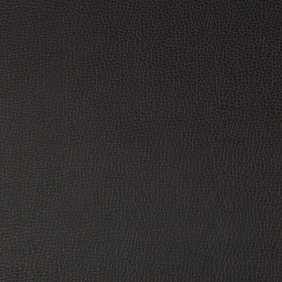 KRAVET CONTRACT LENOX.8.0 LENOX RAVEN Fabric - Eade's Wallpaper