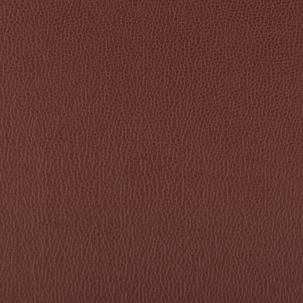 KRAVET CONTRACT LENOX.96.0 LENOX RAISIN Fabric - Eade's Wallpaper