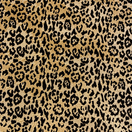 Eade’s LEO ONYX ONYX