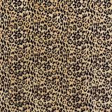 Eade’s LEO ONYX ONYX