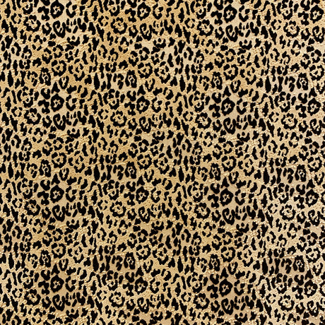 Eade’s LEO ONYX ONYX