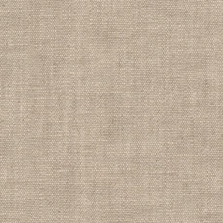 STOUT LILY-1 LILY 1 TAUPE Fabric - Eades Wallpaper & Fabric