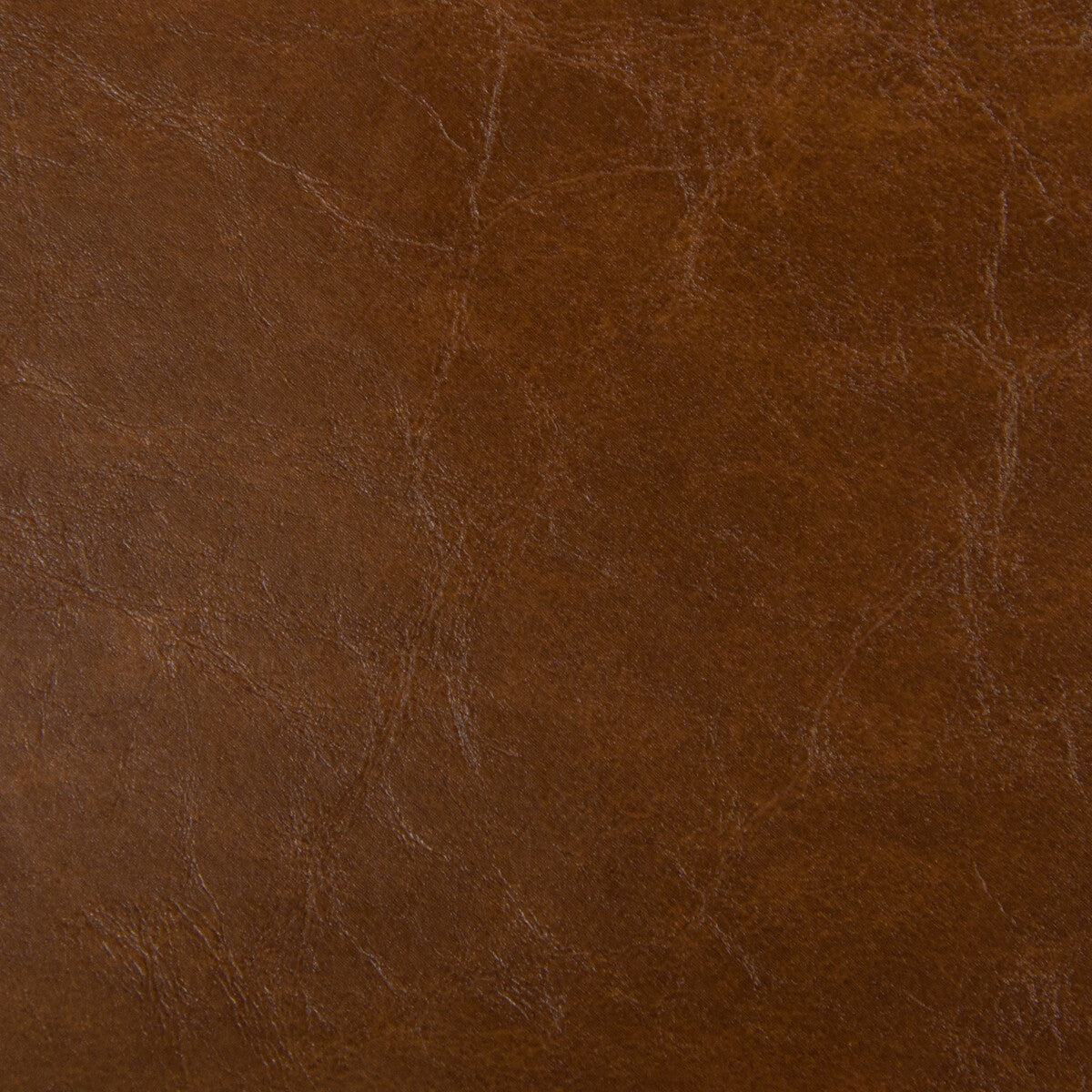 KRAVET DESIGN LIPIZZAN.6.0 LIPIZZAN SADDLE Fabric - Eade's Wallpaper