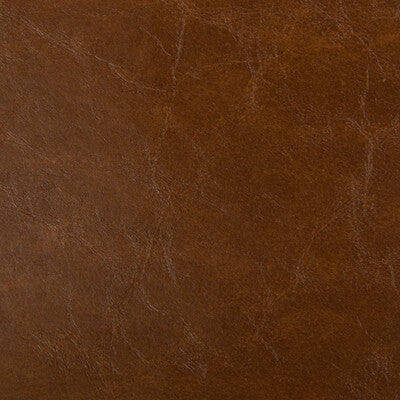 KRAVET DESIGN LIPIZZAN.6.0 LIPIZZAN SADDLE Fabric - Eade's Wallpaper