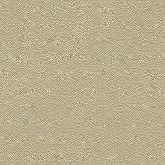 KRAVET DESIGN LITESTAR.116.0 LITESTAR SAND Fabric - Eade's Wallpaper
