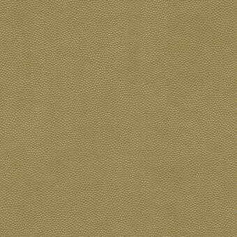 KRAVET DESIGN LITESTAR.4.0 LITESTAR GOLD Fabric - Eade's Wallpaper