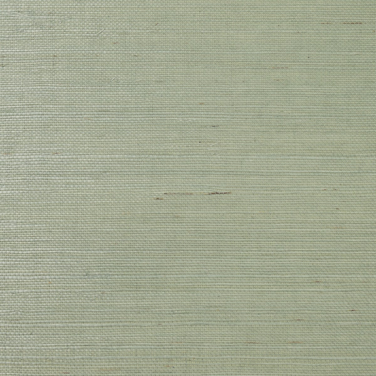 Lillian August LN11824 Sisal