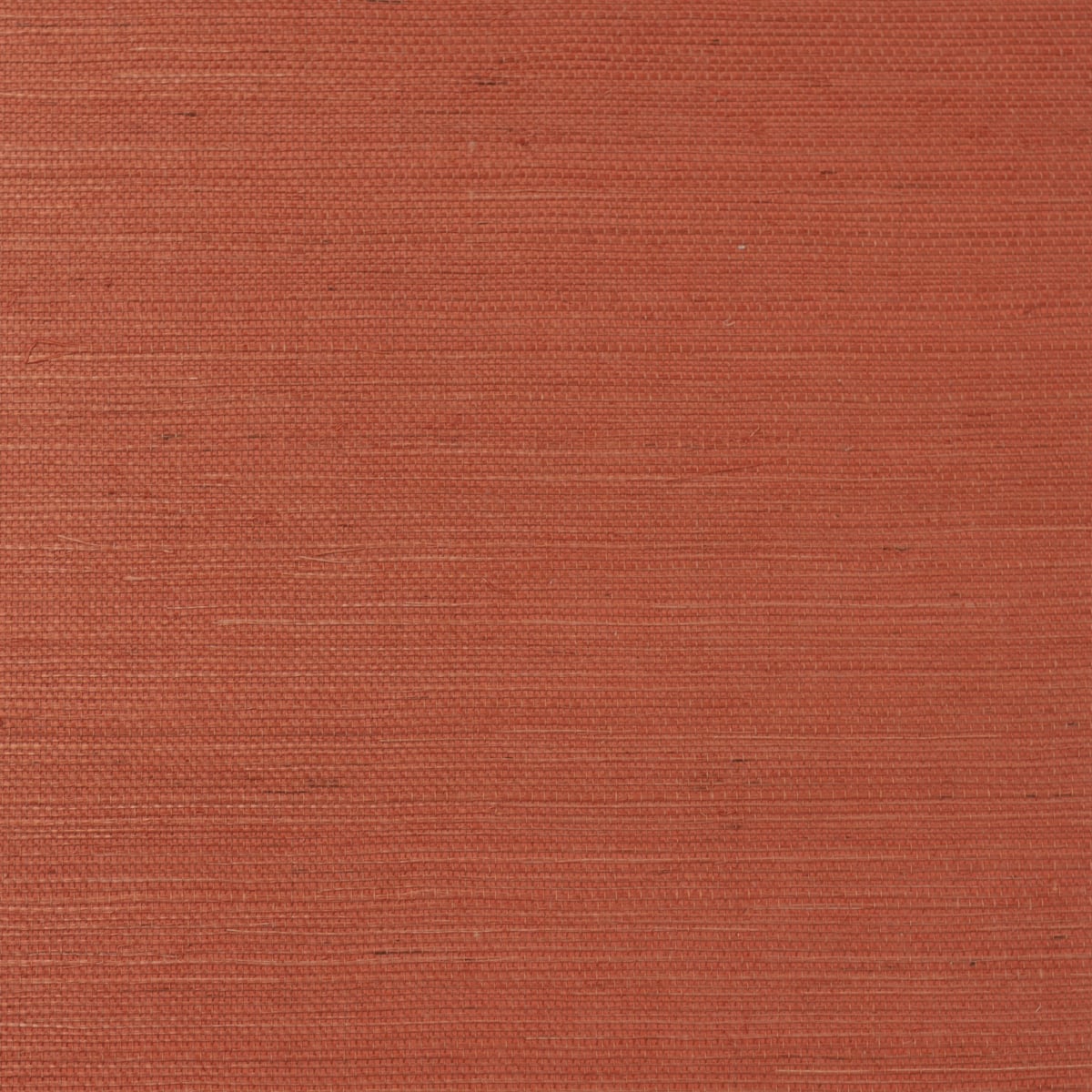Lillian August LN11841 Sisal