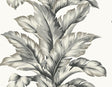 Lillian August LN40600 Wallpaper - Eade's Wallpaper & Fabric