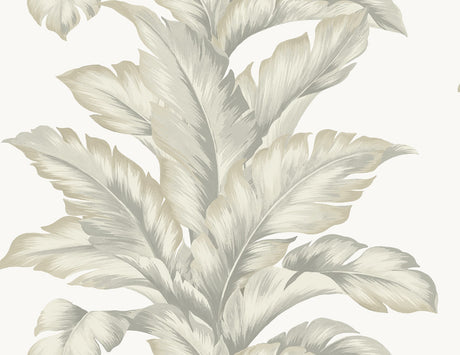 Lillian August LN40607 Wallpaper - Eade's Wallpaper & Fabric