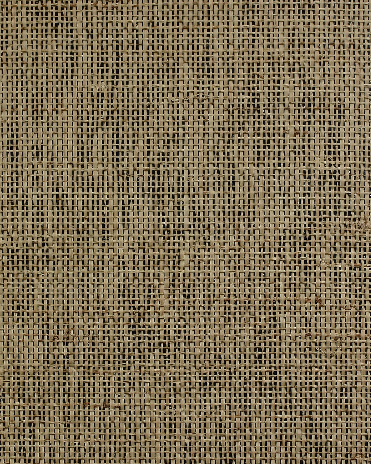 Lillian August LN50086 Wallpaper - Eade's Wallpaper & Fabric