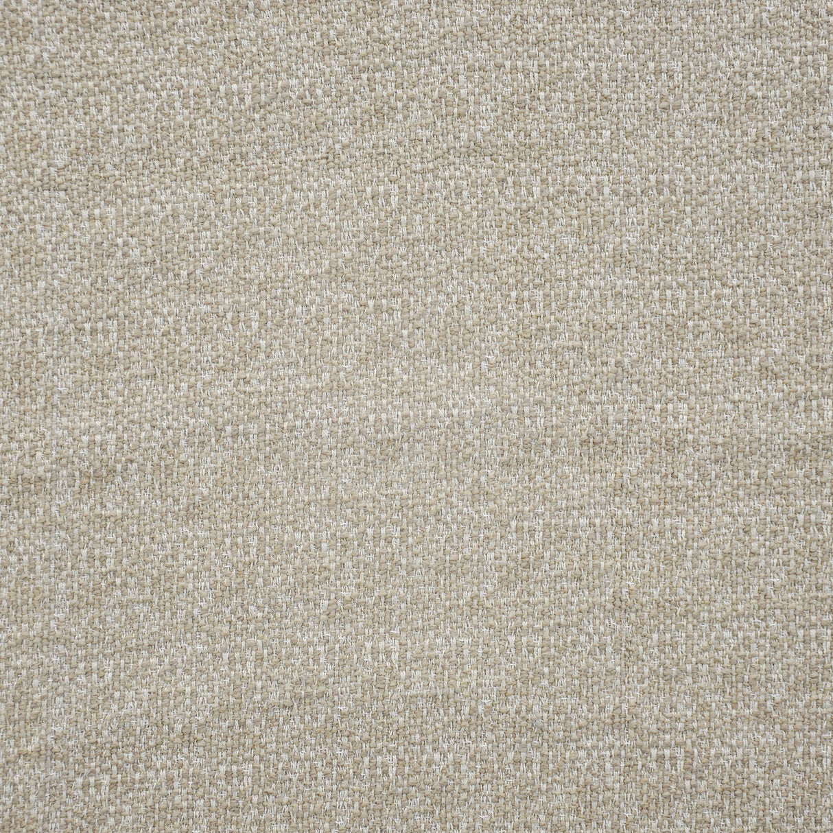 Eade’s # 542 ALPACA